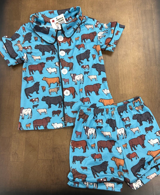 3/6m, Blue Stock PJ Set