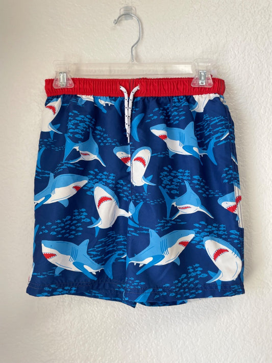 11/12, shark, blu