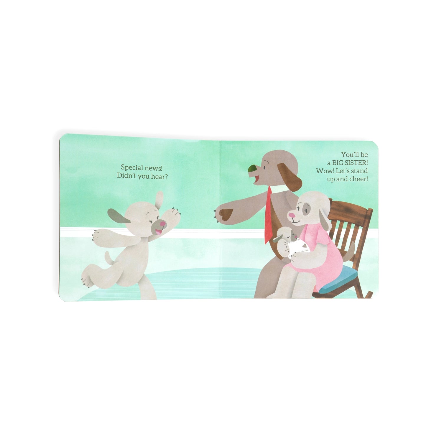 Big Sister Book