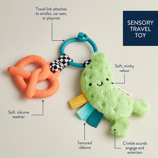 Itzy Ritzy Pal,Pickle,0m+